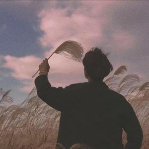 九九视频免费在线观看
